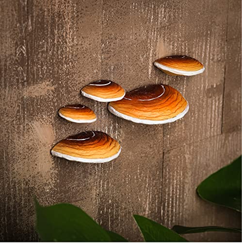 Geetery Set of 5 Mushroom Shelves Floating Wall Decor Mini Hanging Cottage Core Wall Decor Cute Adhesive Resin Mushroom Shelf for Terrarium Gecko Reptile Tank Accessories Bedroom Home Kitchen - color: Brown