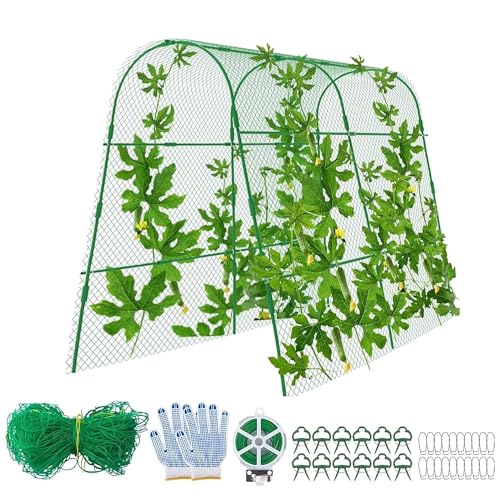 codree Cucumber Trellis for Raised Bed, 63 x 63 Inch U-Shape Garden Trellis for Climbing Plants Outdoor, Metal Arch Trellis with Climbing Net Clips for Growing Vine Vegetable, Tomato, Bean, Zucchini - color: Green-63x63Inch