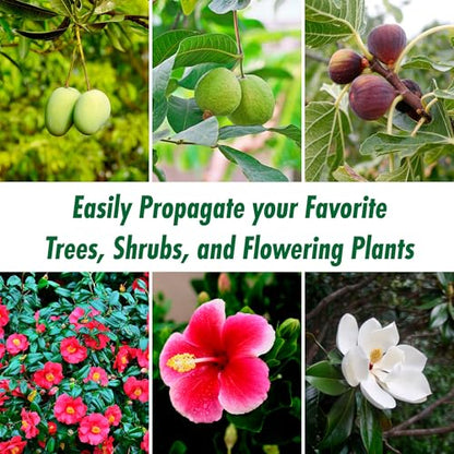 Air Layering Propagation kit with Zip Ties | 12 Pack | 4 inches Wide x 5 inches Long | Plant Rooting Pods - Supports Aerial Roots Growth | Ventilated and Hinged Design | Made in USA
