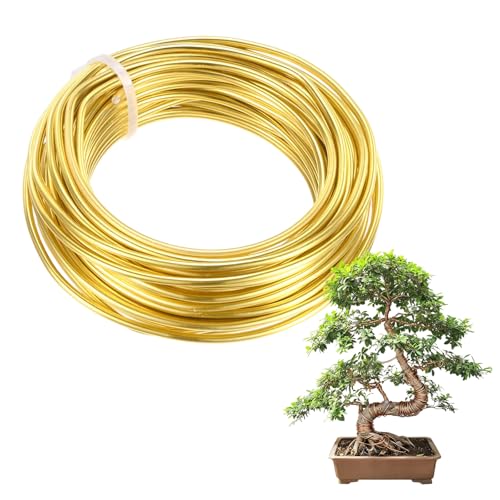 M METERXITY 1-Pack Bonsai Training Wire, 2.5mm x 33ft/10m Anodized Aluminum Bonsai Tree Wire for Gardening Branch/Fine Trunk/DIY Crafting [Gold Tone] - color: Gold Tone, size: 2.5mm
