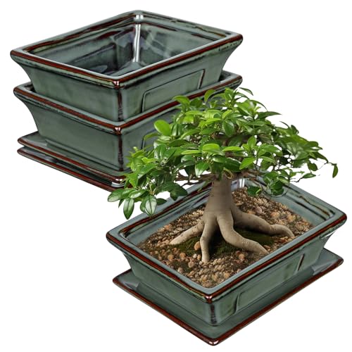 Villa Como Set of 2 Bonsai Pots with Drainage Tray, 6" Green Glazed | Ceramic Bonsai Tree Pots, Small Rectangle Bonsai Planter for Indoor Outdoor Plants, Succulents, Cactus, Home, Patio, Garden - color: Green, size: 6.2"x4.5"x1.9"