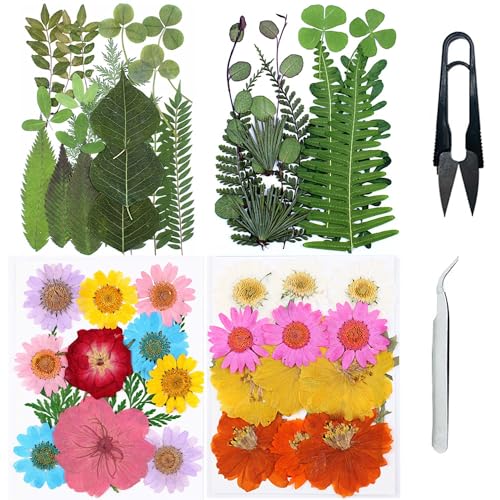 Cayway Natural Dried Pressed Flowers, Natural Dried Pressed Leaves, Natural Dry Flowers Leaves with Tweezers, Scissors for Pressed Leaf Art Craft DIY Embellishment Decorations ( Green Yellow Pink) - color: 2 Packs+2 Packs Leaves a
