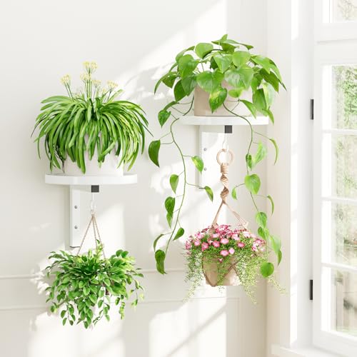 iDavosic.ly Plant Wall Hanger Holder Set of 2 for Indoor Outdoor, White - color: White, size: 2 Pack