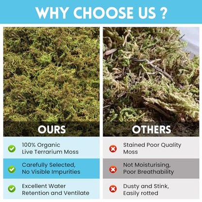 Riare 7 OZ Natural Sphagnum Moss for Reptiles, Terrarium Substrate Bedding | High Expansion, Moisture Retention, Helps Shedding, Long Fibered Dried Moss for Leopard Gecko, Snake, Frog, Turtle - color: 7 OZ