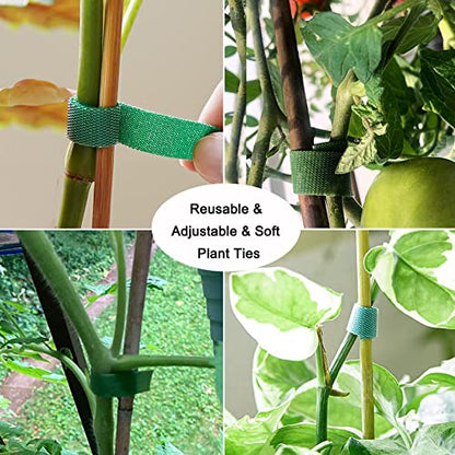 Yowlieu 20 Pcs Natural Bamboo Stakes + 1 Roll Garden Ties, 18 Inches Bamboo Sticks Gardening Plant Support Stakes for Indoor Plants, Tomato, Potted Plants - size: 20 Pcs Stakes + 1 Roll Plant Ties