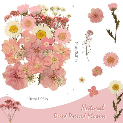 Dried Pressed Flowers for Crafts, Real Dried Flowers Natural Dry Flowers Bulk for Resin Candle Making Scrapbooking DIY Nails Jewelry Pendant Soap (Pink)