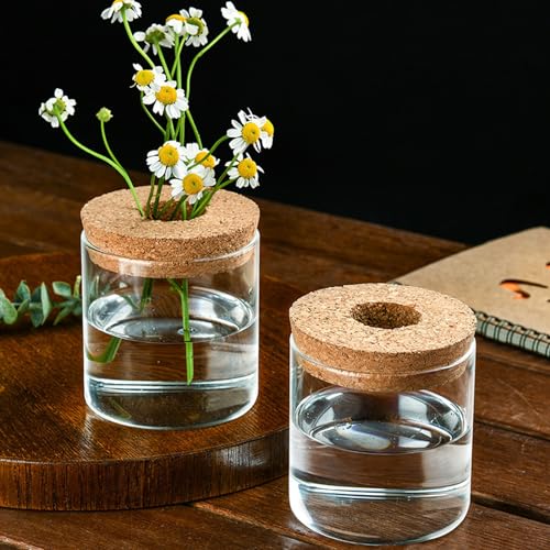 Clear Glass Planter Vase with Wooden Lid and Bamboo Stand for Hydroponic Plants, Succulents, Cut Flowers Gifts for Women Mom Plant Lovers (1, 2.55 * 3.93inch)