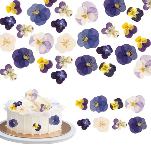 40 Pcs 8 Kinds Natural Dried Pressed Edible Flower Cupcake Toppers Purple Small Flat Cake Topper Decorating for Cocktails Resin Jewelry Making DIY Art Crafts Birthday Anniversary Decoration Supplies