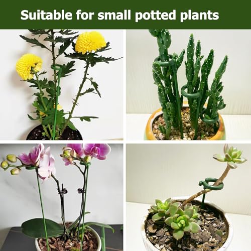 Pack of 30 Small Plant Stakes for Indoor Plants 10.7 Inches Single Stem Plant Support Stakes for Phalaenopsis/Orchid Flower/Succulent - size: D Set(10.7 in)