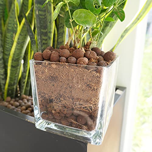 Leca Expanded Clay Pebbles 10LBS Grow Media for Indoor Plants Hydroponic Growing Gardening System Supplies … - size: 10LBS