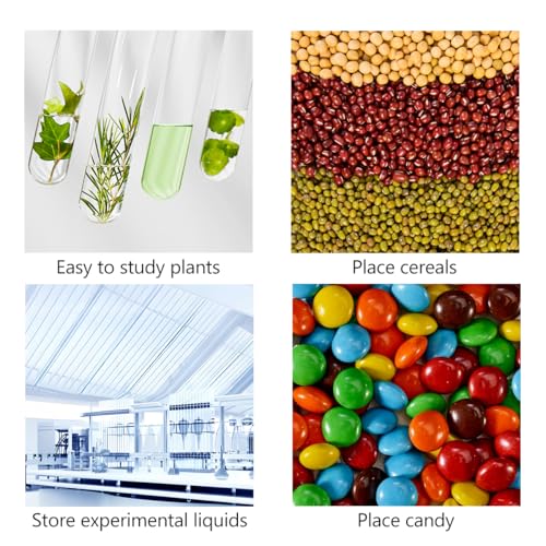 8 Pcs Glass Plant Propagation Test Tubes, Glass Tubes for Plants Plant Propagation Large Test Tube Tubes Hydroponic Test Tube for Hydroponic Flowers Home Office Desktop Decoration (15cm)