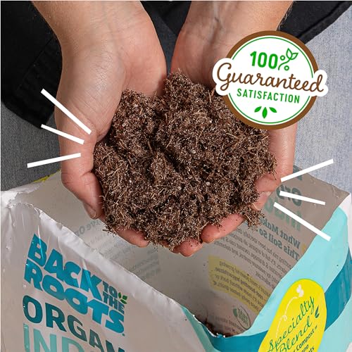 Back to the Roots 100% Organic Indoor Potting Mix (Value 12 Quart) | Promotes Healthy Houseplant Growth| Made in The USA - size: 12 Quart, style: Indoor Soil