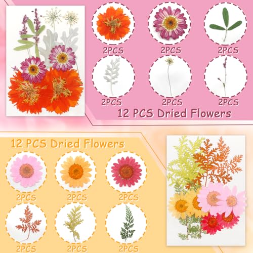 Real Dried Pressed Leaves Natural Dried Leaf for Candle Resin Jewelry Soap Nail Pendant Phone Case Crafts Making Floral Decors Scrapbooking DIY (48 Pcs Real Dried Leaves Flowers) - size: 48 Pcs Real Dried Leaves Flowers