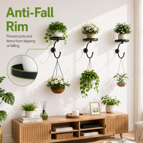 3-Pack Wall Plant Holder for Indoor Outdoor Plants, Metal Wall Planter
