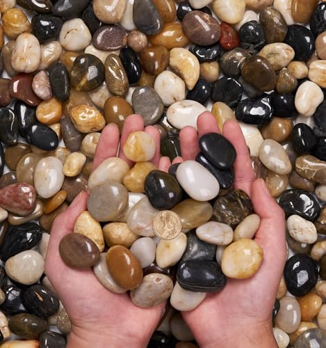 NUPICK 10 Pound River Rocks for Landscaping, Mix Rocks for Bird Bath | 0.8-1.3 Inches Polished River Rocks for Landscaping, Pebbles for Plants, Garden, Vase Filler, Bird Baths, Succulent, Bonsai - color: Mixed, size: 0.8-1.3"-10lb