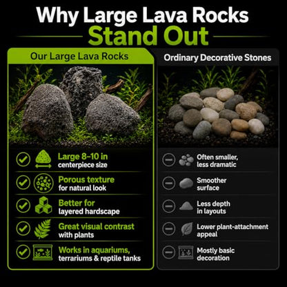 8–10 Inches Natural Black Lava Rocks, 3 PCS Large Aquarium Stones for Aquascaping, Fish Tank Centerpiece Decor, Planted Tanks, Terrariums & Reptile Habitats (Large 8–10 in) - size: Large 8–10 in