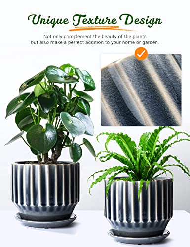 AISBUGUR Plant Pots 6 inch Ceramic Pots for Indoor Plants Set of 2 Flower Pots Unique Crackle Glaze Design Plant Pots with Drainage Hole and Saucer Come with Drainage Nets (Grey) - color: Gray