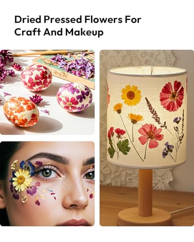 Dried Flowers, Resiners 100Pcs Pressed Flowers for Craft Yellow Real Natural Dried Flowers Dry Leaves Kit for DIY Making Crafts Resin Soap Candle Scrapbook Supplies Card Making Jewelry - color: Yellow 100pcs