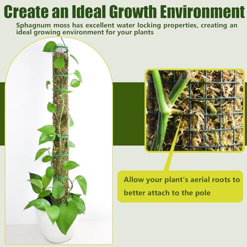 4 Pack Metal Moss Pole, 40" Large Moss Poles for Plants Monstera, Stackable Sphagnum Moss Pole for Plants Work with Sphagnum Moss(4 Pack 40") - color: 4 Pack 40"