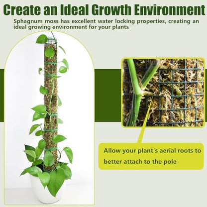 6 Pack Metal Moss Pole, 40" Large Moss Poles for Plants Monstera, Stackable Sphagnum Moss Pole for Plants Work with Sphagnum Moss(6 Pack 40") - color: 6 Pack 40"