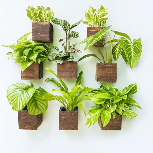 LaLaGreen Wood Planter Boxes for Plants (4x4, 8 Pack) Wooden Wall Planters - size: 4x4" x 8 pack
