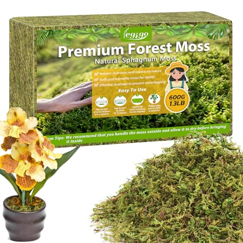 Legigo 1.3LB Sphagnum Moss for Plants, 25QT Natural Long Fiber Orchid Moss | Drainage & Moisture Retention, Green Plant Moss for Orchid Repotting, Carnivorous, Succulents, Reptile Bedding & Terrariums - size: 1.3LB