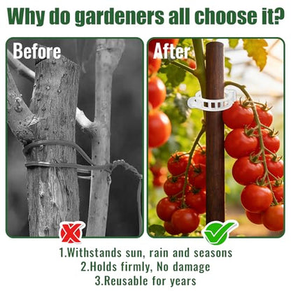 300Pcs Thickened Tomato Clips, Plant Support Clips Plastic Trellis Clips | Plant Clips for Grape Vine, Tomato Vine, Vegetable Plants, to Grow Upright Makes Plants Healthier, White - color: White