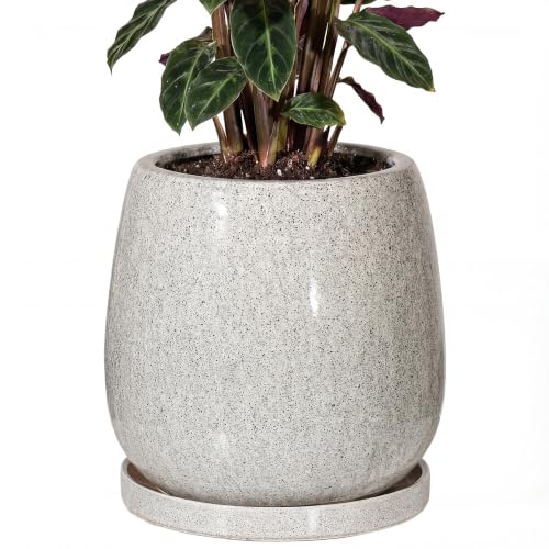10.3 Inch Ceramic Glaze Plant Pot with Saucer, Flower Pots with Drainage Hole Mesh Net(Gray-Blue Dot) - color: Gray-blue Dot
