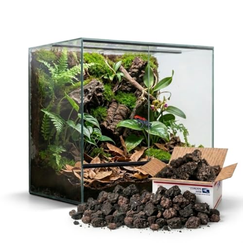 Carbonized Cork Terrarium Background (Med - LG Chunks (21oz))