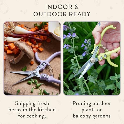 Modern Sprout Pruning Shears- Garden Snips - Herb Scissors- Lavender 1-Pack - color: Lavender