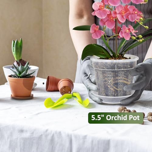 Orchid Pot with Saucers, 6 Pack 5.5" Orchid Pots with Holes and 10Pcs Plant Stakes, Clear Plastic Flower Plant Pot for Indoor Outdoor Plants(6 Pack 5.5"+ Saucers) - style: 6 Pack 5.5"+ Saucers