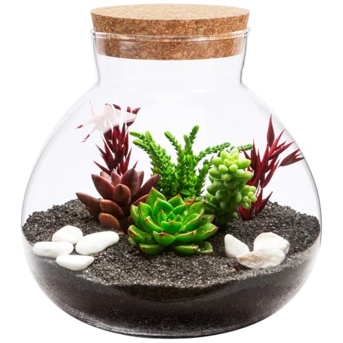 YARNOW Glass Terrarium Jar with Cork Lid, Clear Round Storage Container for DIY Micro Landscape Moss Plant