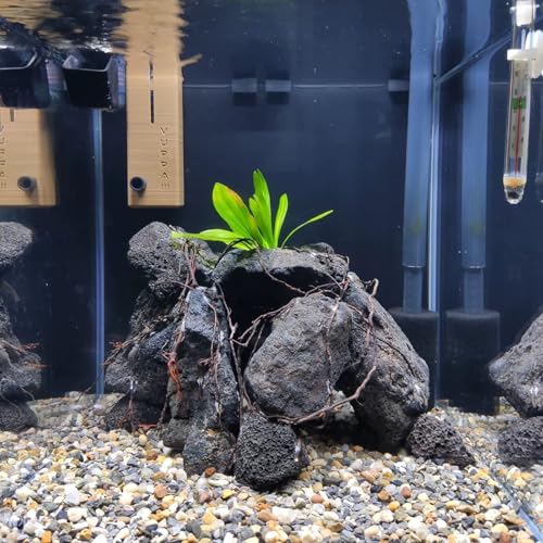 Black Lava Rocks 30lb Natural Volcanic Stones for Aquarium Fish Tank Terrarium Reptile Habitat Fire Pit Garden Landscaping Decor,10-12 Pcs 4-9 inches - size: 30LB(10-12pcs)4-9in.