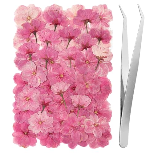 101 PCS Pressed Cherry Blossom for Crafts, Pink Dried Pressed Flowers for Resin DIY Jewelry Making Cake Card Scrapbook Decor, Dried Sakura Flowers for Soap Candle Making - size: Cherry 101pcs