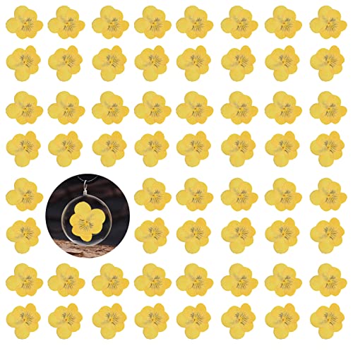 60PCS Yellow Dried Pressed Pansy Flowers for Resin, Natural Real Dry Pansy Flower for Resin Mold Jewelry Candle Card Soap Making Scrapbooking DIY Art Crafts Painting Decoration - color: Pansy-yellow
