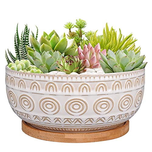 Eightpot 8 Inch Ceramic Succulent Planter Pot with Drainage Hole and Saucer Round Shallow Planter for Indoor Plants, White - color: White