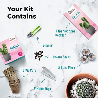 Cactus Kit Grow Your Own Cactus Seeds Starter Kit | Plants, Seeds & Bulbs | Easily Grow Beautiful Varieties of Cactus Plants with Complete Beginner Indoor Cacti Kit – House Plant - Men Women Gifts