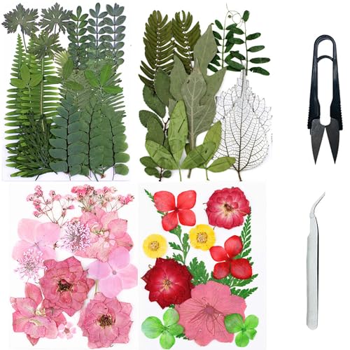 Cayway Natural Dried Pressed Flowers, Natural Dried Pressed Leaves, Natural Dry Flowers Leaves with Tweezers, Scissors for Pressed Leaf Art Craft DIY Embellishment Decorations ( Green, Pink) - color: 2 Packs+2 Packs Leaves B
