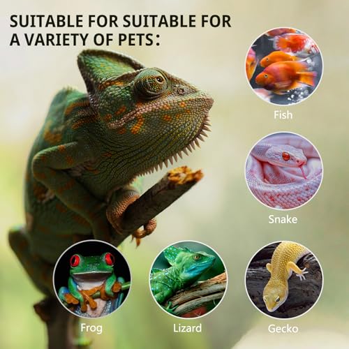 11 Gallon Tall Reptile Glass Tank 12"x12"x18" with Drainage Hole - Pre-Assembled Vertical Reptile Cage Enclosure for Arboreal Geckos,Chameleon,Lizard,Tree Frog and Snake - size: 12*12*18inch with drainage hole