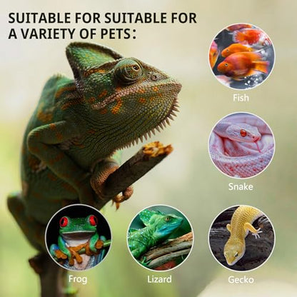 11 Gallon Tall Reptile Glass Tank 12"x12"x18" with Drainage Hole - Pre-Assembled Vertical Reptile Cage Enclosure for Arboreal Geckos,Chameleon,Lizard,Tree Frog and Snake - size: 12*12*18inch with drainage hole