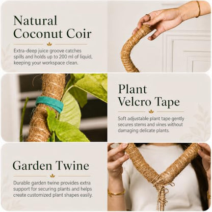 2 Pack 30" Moss Pole for Plants – Moss Pole Monstera Plant Support - size: 2-Pack (30'')