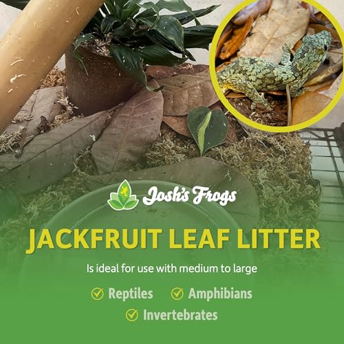 Josh's Frogs Large Jackfruit Leaf Litter, 10 Count