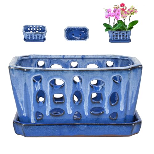 W&W Orchid Pot with Holes and Saucer for Repotting, White and Blue, 9.7 Inch - color: White and Blue 9.7", size: 9.7"