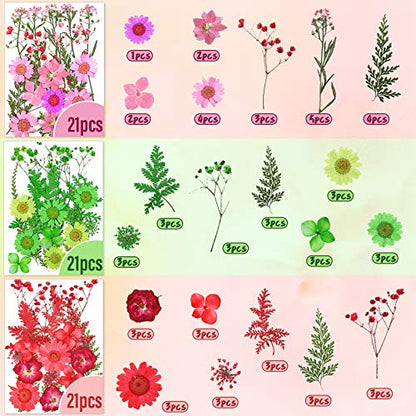 Nuanchu 223 Pcs Real Dried Pressed Flowers for Crafts Natural Dried Leaves and Butterfly Stickers Set Colorful Daisy Flowers and Adhesive Butterfly Decals for DIY Resin Jewelry Nail Crafts Floral Art