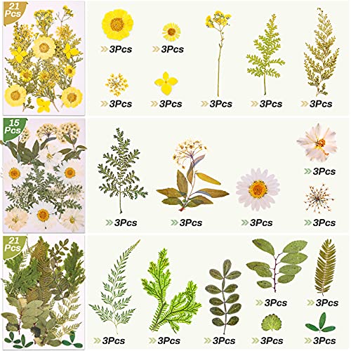 297 Pcs Dried Pressed Flowers Butterfly Stickers for Resin, Real Natural Dry Flowers Leaves Bulk with Tweezers for Art Craft Supplies Scrapbooking DIY Epoxy Resin Jewelry Candle Making Nails Décor