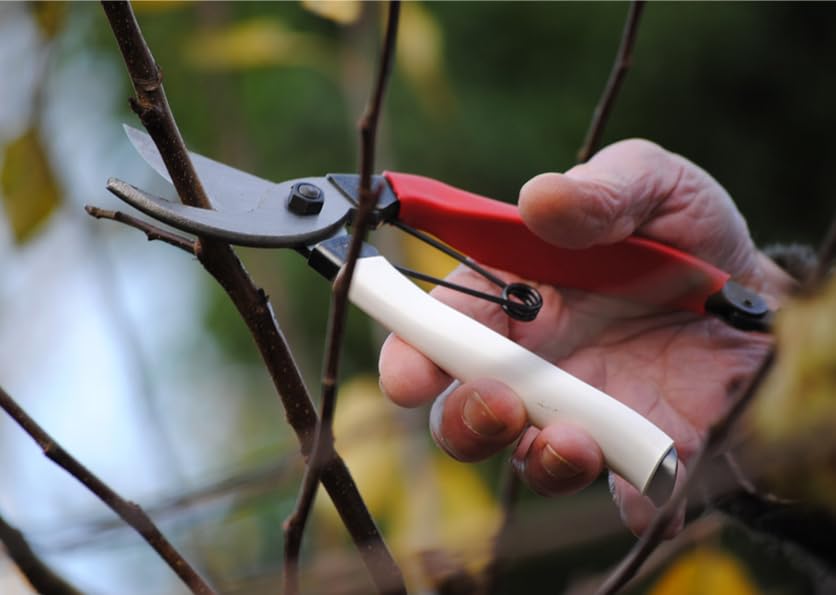 Okatsune 103 Bypass Pruners General Purpose Medium (One Pack)