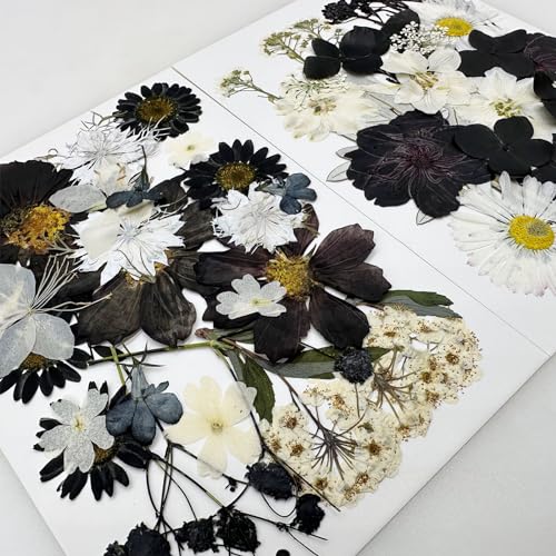 Cayway 2 Pack Pressed Flowers Natural Dried Flowers Black Resin Flowers Real Pressed Flowers with Butterfly Sticker for Resin Scrapbook DIY Art Crafts, Epoxy Resin Jewelry Supplies, Style D - color: Black White Style D