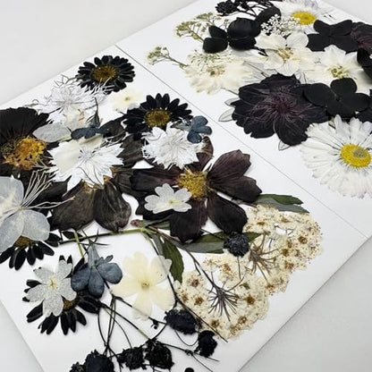 Cayway 2 Pack Pressed Flowers Natural Dried Flowers Black Resin Flowers Real Pressed Flowers with Butterfly Sticker for Resin Scrapbook DIY Art Crafts, Epoxy Resin Jewelry Supplies, Style D - color: Black White Style D