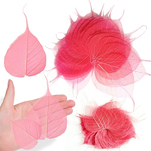 Pink Dried Pressed Skeleton Leaves Vein for Resin, 42PCS Natural Real Dry BodhiSkeleton Leaf for Resin Embellishments Art DIY Craft Candle Making Phone Case Wedding Decor - color: Bodhi Skeleton Leaves-pink