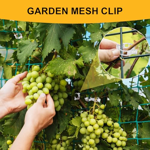 200Pcs Secured Plant Support Clips - Tomato Clips for String Trellis, Grape Vine Grid Clamp for Garden Netting Climbing Plants, Fixing Stem and Vine (White) - color: 200pcs White